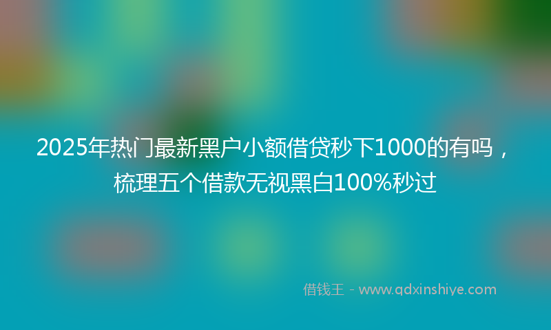 2025年热门最新黑户小额借贷秒下1000的有吗，梳理五个借款无视黑白100%秒过