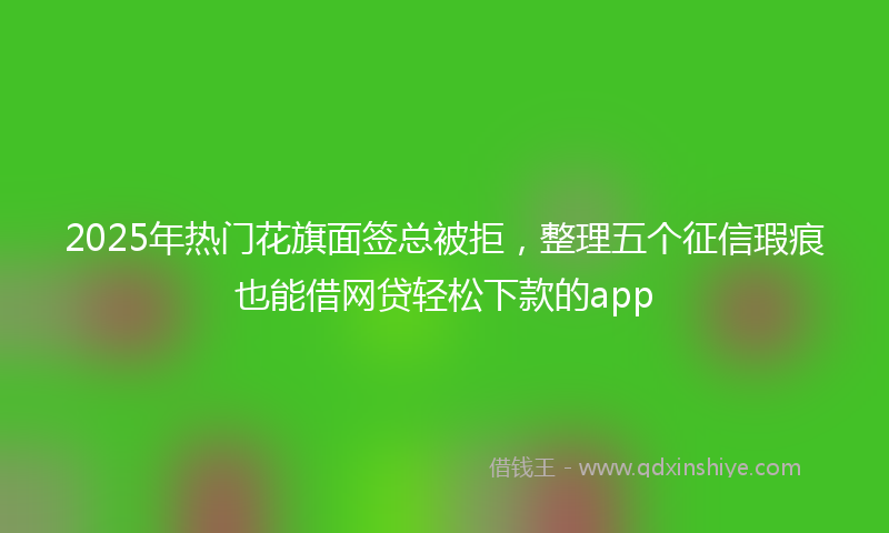 2025年热门花旗面签总被拒，整理五个征信瑕疵也能借网贷轻松下款的app