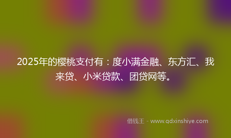 2025年的樱桃支付有：度小满金融、东方汇、我来贷、小米贷款、团贷网等。