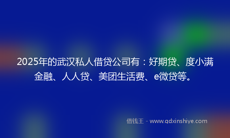 2025年的武汉私人借贷公司有：好期贷、度小满金融、人人贷、美团生活费、e微贷等。
