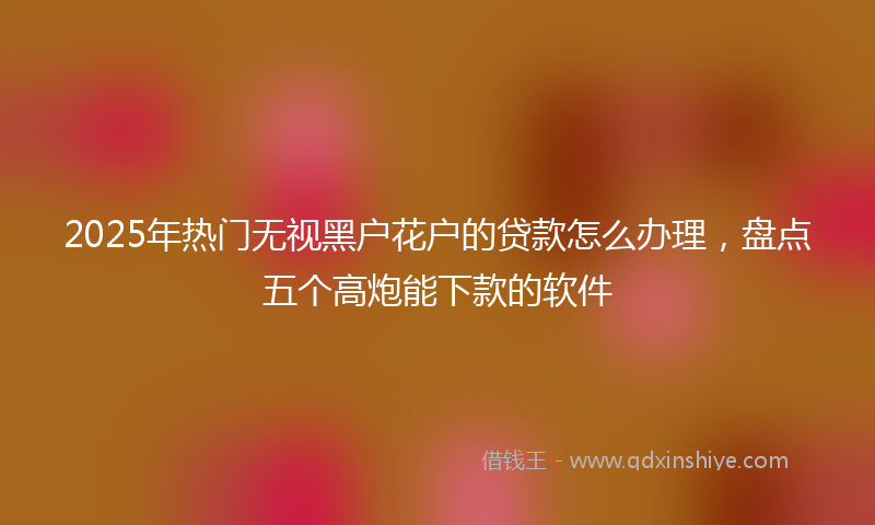 2025年热门无视黑户花户的贷款怎么办理，盘点五个高炮能下款的软件