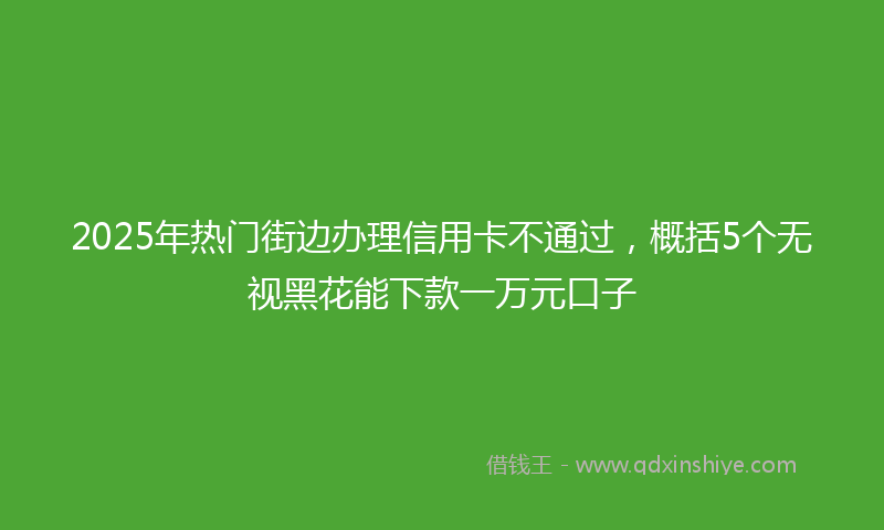 2025年热门街边办理信用卡不通过，概括5个无视黑花能下款一万元口子