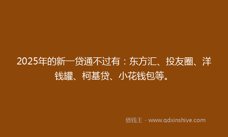 2025年的新一贷通不过有：东方汇、投友圈、洋钱罐、柯基贷、小花钱包等。