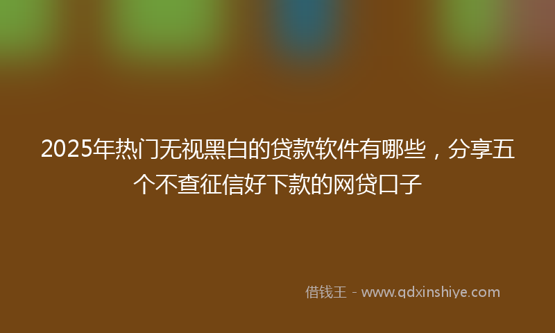2025年热门无视黑白的贷款软件有哪些，分享五个不查征信好下款的网贷口子