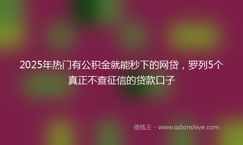 2025年热门有公积金就能秒下的网贷，罗列5个真正不查征信的贷款口子