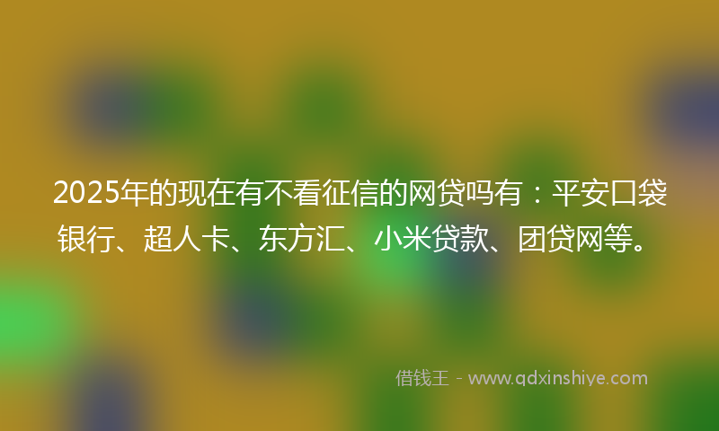 2025年的现在有不看征信的网贷吗有：平安口袋银行、超人卡、东方汇、小米贷款、团贷网等。