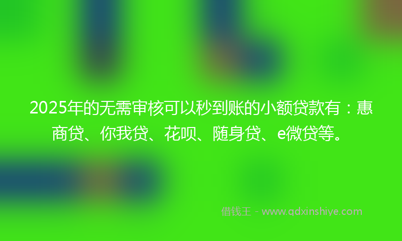 2025年的无需审核可以秒到账的小额贷款有：惠商贷、你我贷、花呗、随身贷、e微贷等。