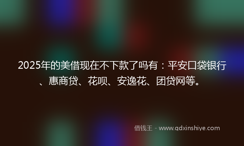 2025年的美借现在不下款了吗有：平安口袋银行、惠商贷、花呗、安逸花、团贷网等。
