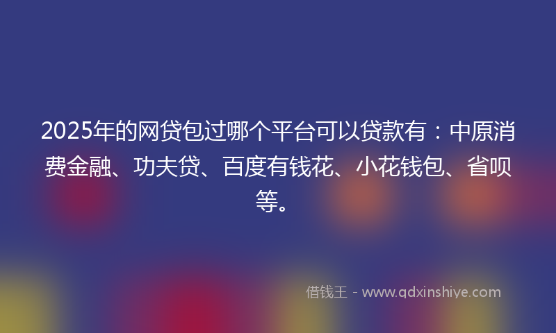 2025年的网贷包过哪个平台可以贷款有：中原消费金融、功夫贷、百度有钱花、小花钱包、省呗等。