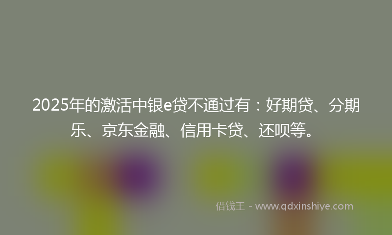 2025年的激活中银e贷不通过有：好期贷、分期乐、京东金融、信用卡贷、还呗等。