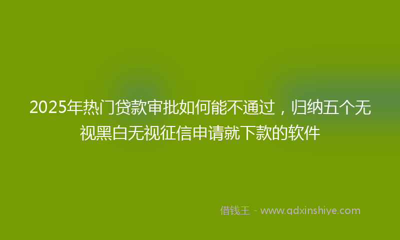 2025年热门贷款审批如何能不通过，归纳五个无视黑白无视征信申请就下款的软件