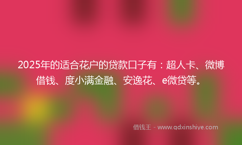 2025年的适合花户的贷款口子有：超人卡、微博借钱、度小满金融、安逸花、e微贷等。