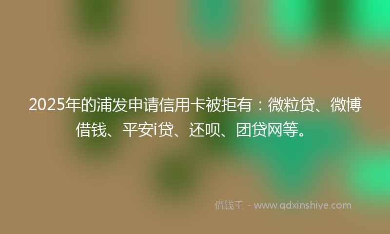 2025年的浦发申请信用卡被拒有：微粒贷、微博借钱、平安i贷、还呗、团贷网等。