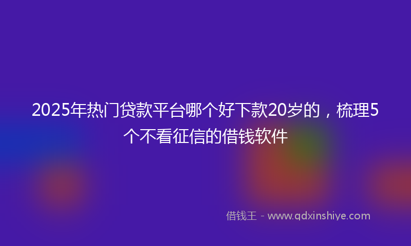 2025年热门贷款平台哪个好下款20岁的，梳理5个不看征信的借钱软件