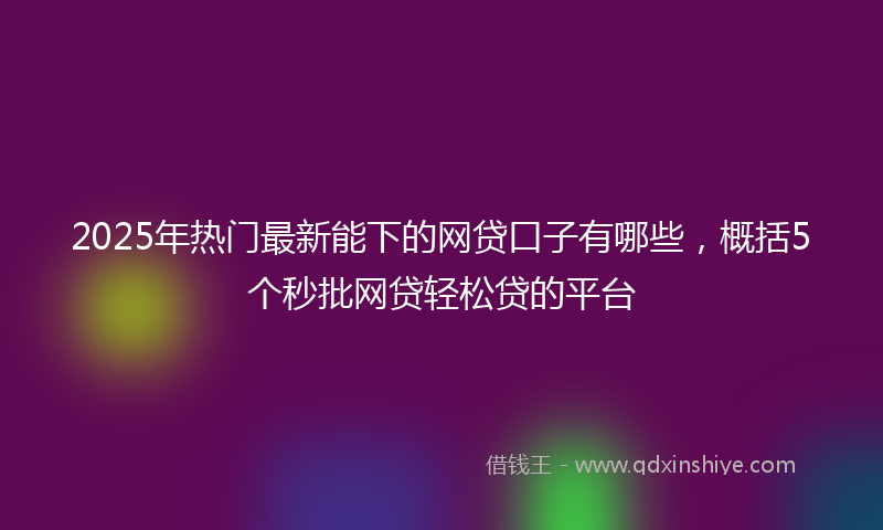2025年热门最新能下的网贷口子有哪些，概括5个秒批网贷轻松贷的平台