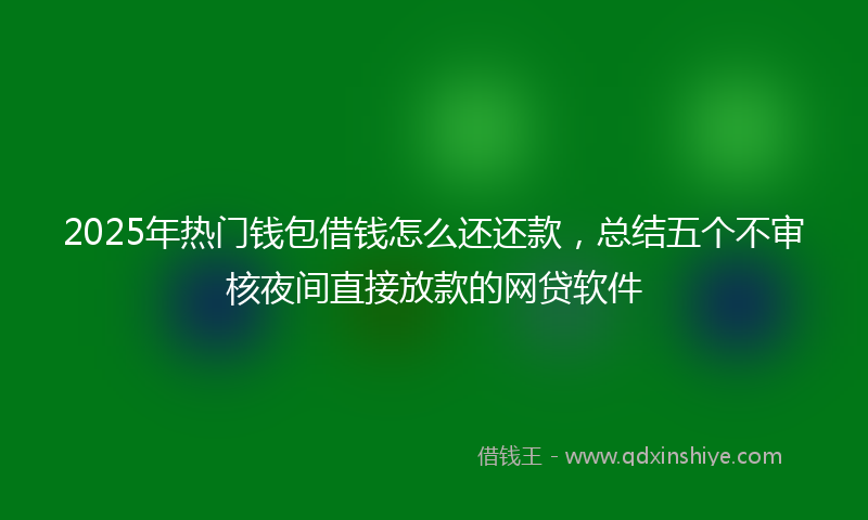 2025年热门钱包借钱怎么还还款，总结五个不审核夜间直接放款的网贷软件