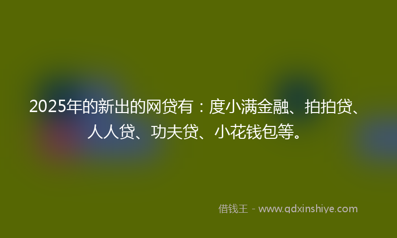 2025年的新出的网贷有：度小满金融、拍拍贷、人人贷、功夫贷、小花钱包等。