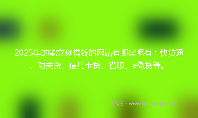2025年的能立刻借钱的网站有哪些呢有：快贷通、功夫贷、信用卡贷、省呗、e微贷等。