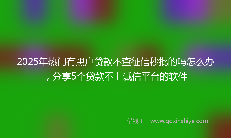 2025年热门有黑户贷款不查征信秒批的吗怎么办，分享5个贷款不上诚信平台的软件