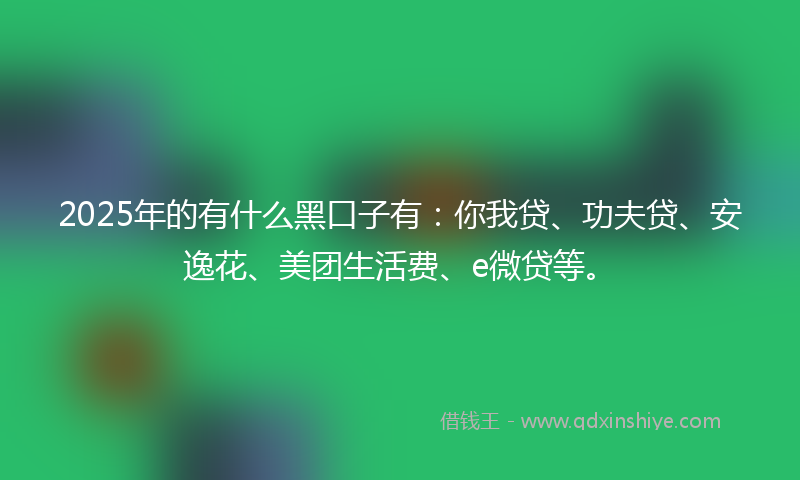 2025年的有什么黑口子有：你我贷、功夫贷、安逸花、美团生活费、e微贷等。