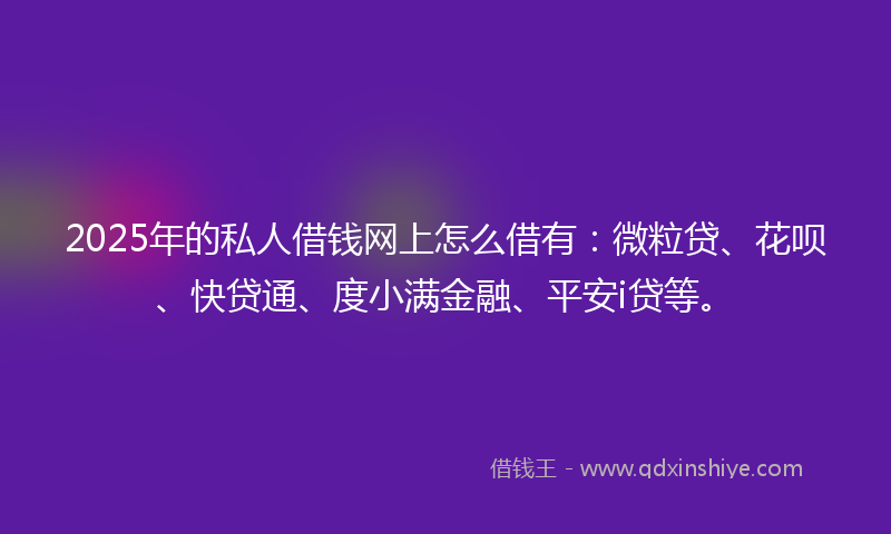 2025年的私人借钱网上怎么借有：微粒贷、花呗、快贷通、度小满金融、平安i贷等。