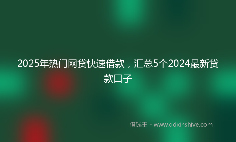 2025年热门网贷快速借款，汇总5个2024最新贷款口子