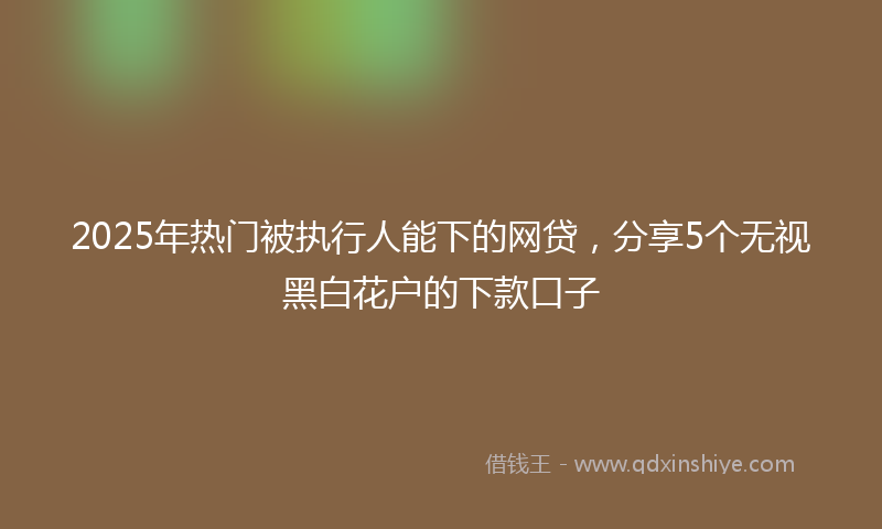 2025年热门被执行人能下的网贷，分享5个无视黑白花户的下款口子