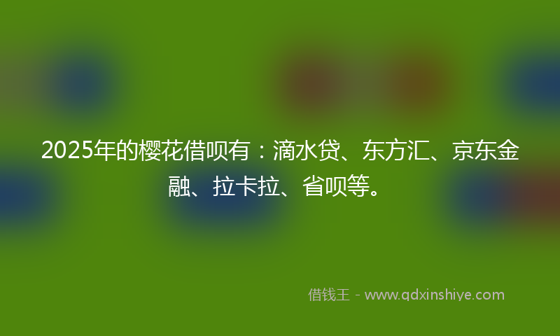 2025年的樱花借呗有：滴水贷、东方汇、京东金融、拉卡拉、省呗等。