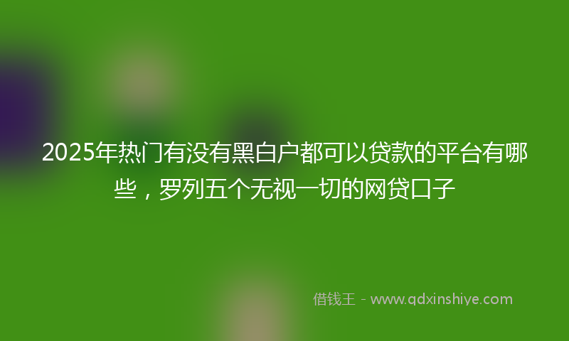 2025年热门有没有黑白户都可以贷款的平台有哪些，罗列五个无视一切的网贷口子