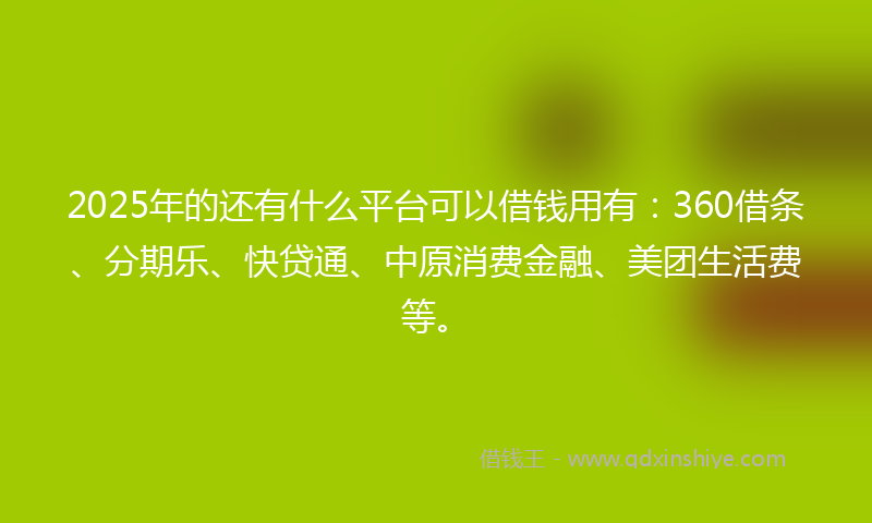 2025年的还有什么平台可以借钱用有：360借条、分期乐、快贷通、中原消费金融、美团生活费等。