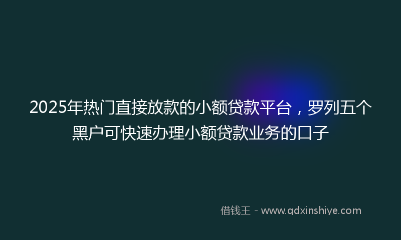 2025年热门直接放款的小额贷款平台，罗列五个黑户可快速办理小额贷款业务的口子