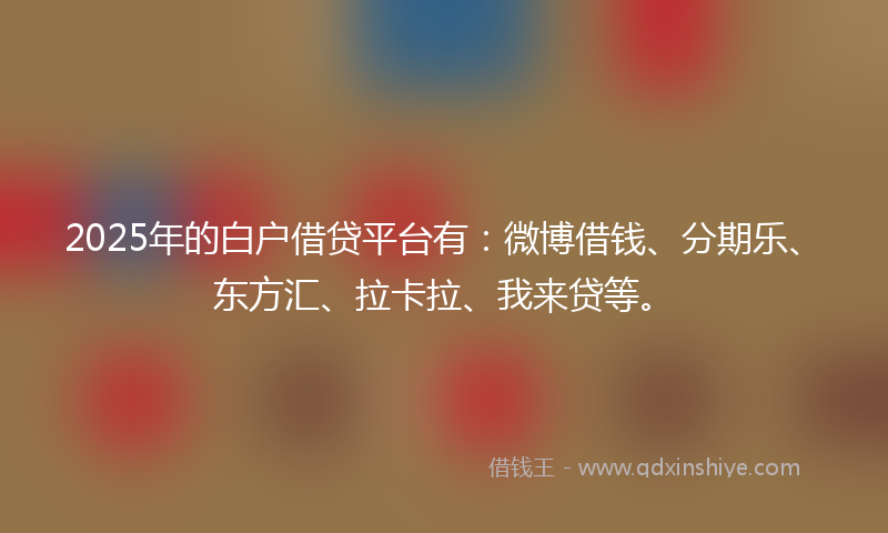 2025年的白户借贷平台有：微博借钱、分期乐、东方汇、拉卡拉、我来贷等。