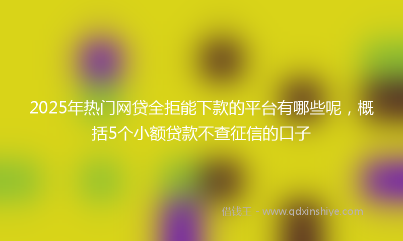 2025年热门网贷全拒能下款的平台有哪些呢，概括5个小额贷款不查征信的口子