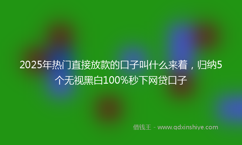 2025年热门直接放款的口子叫什么来着，归纳5个无视黑白100%秒下网贷口子