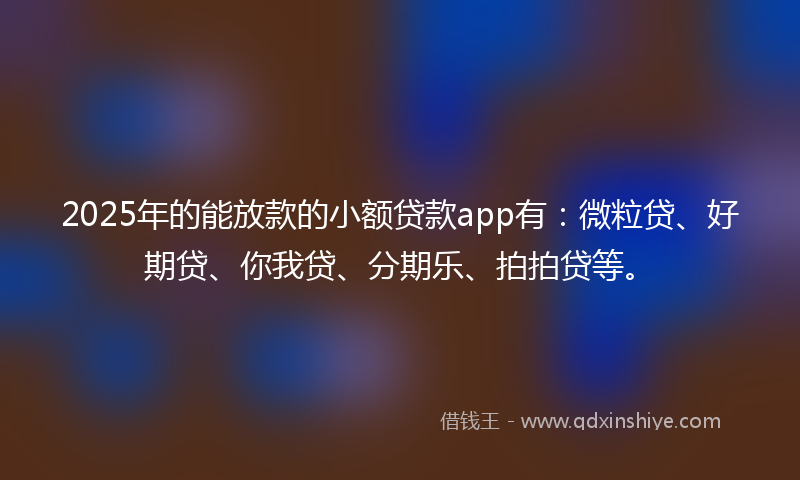 2025年的能放款的小额贷款app有：微粒贷、好期贷、你我贷、分期乐、拍拍贷等。