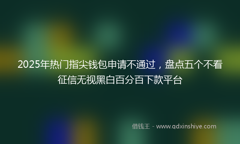 2025年热门指尖钱包申请不通过，盘点五个不看征信无视黑白百分百下款平台