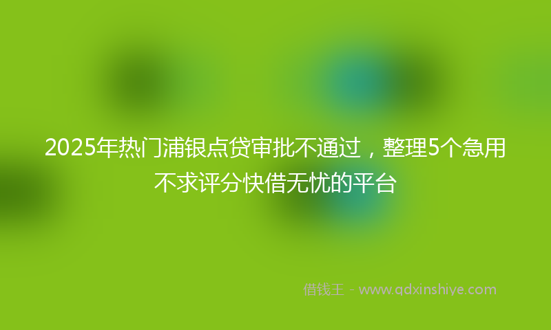 2025年热门浦银点贷审批不通过，整理5个急用不求评分快借无忧的平台