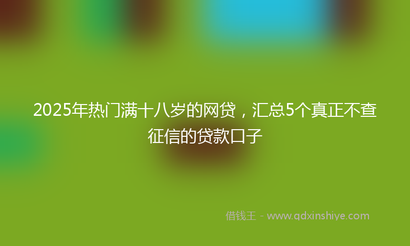 2025年热门满十八岁的网贷，汇总5个真正不查征信的贷款口子