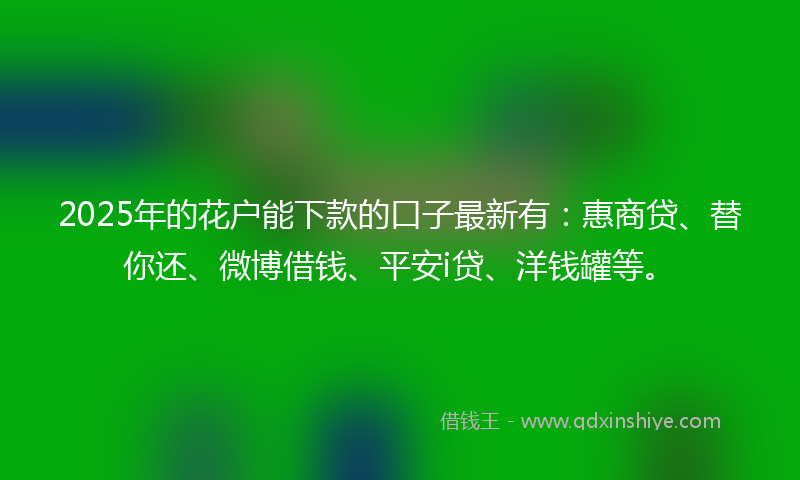 2025年的花户能下款的口子最新有：惠商贷、替你还、微博借钱、平安i贷、洋钱罐等。