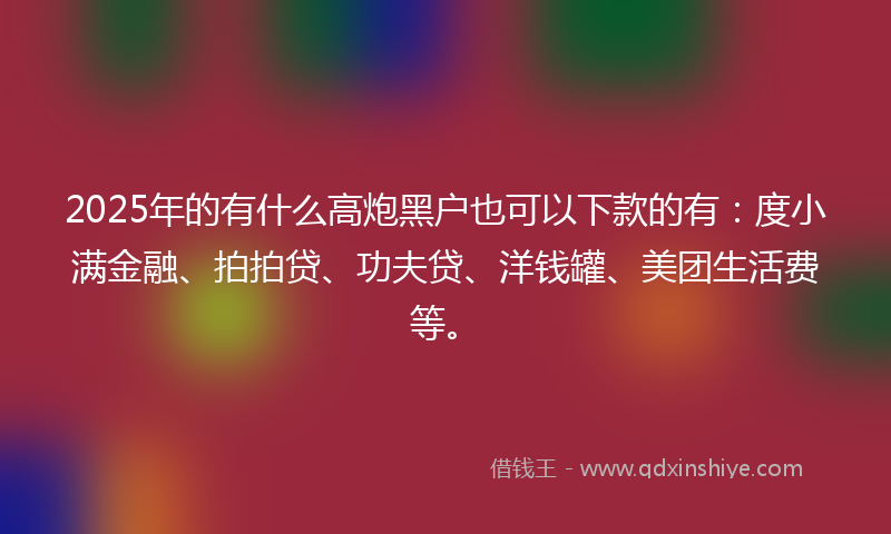 2025年的有什么高炮黑户也可以下款的有：度小满金融、拍拍贷、功夫贷、洋钱罐、美团生活费等。