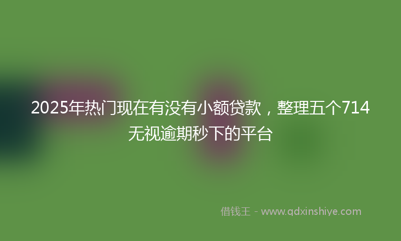 2025年热门现在有没有小额贷款，整理五个714无视逾期秒下的平台