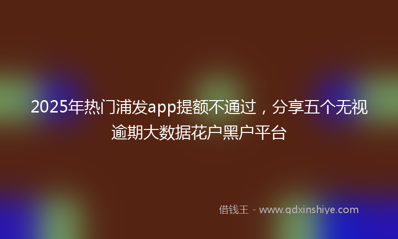 2025年热门浦发app提额不通过，分享五个无视逾期大数据花户黑户平台
