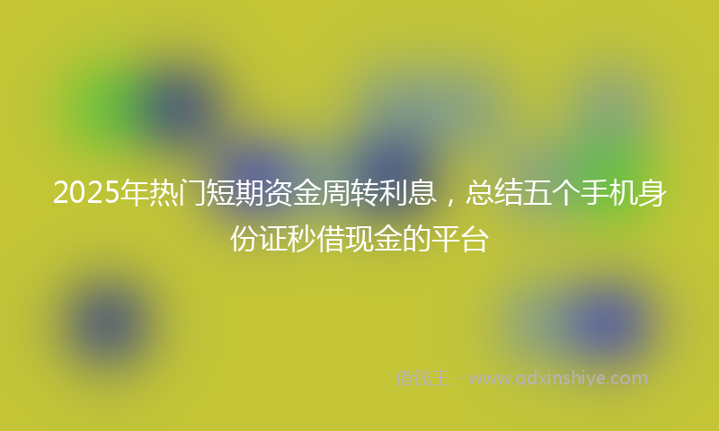 2025年热门短期资金周转利息，总结五个手机身份证秒借现金的平台