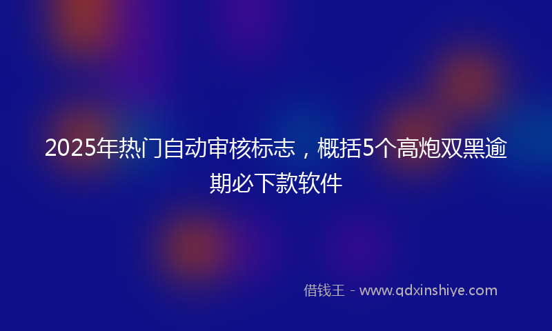 2025年热门自动审核标志，概括5个高炮双黑逾期必下款软件
