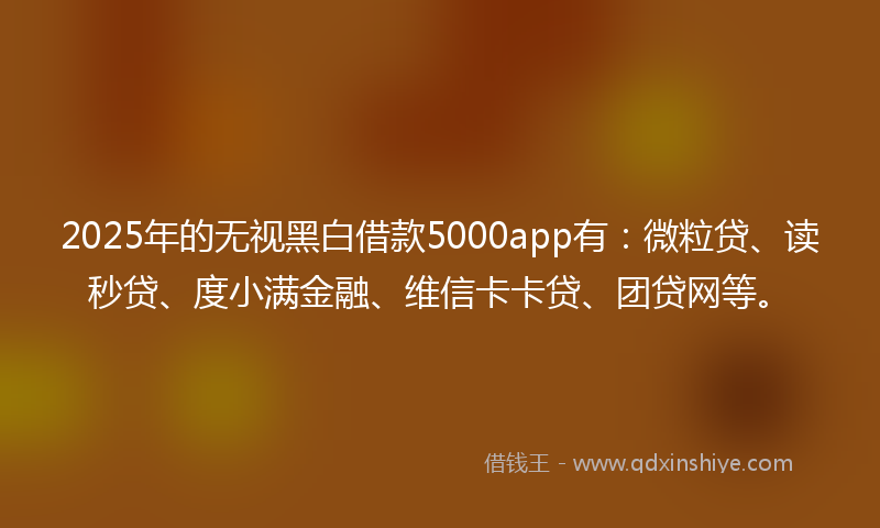 2025年的无视黑白借款5000app有：微粒贷、读秒贷、度小满金融、维信卡卡贷、团贷网等。