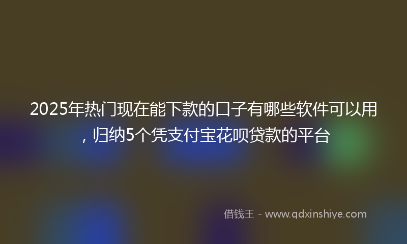 2025年热门现在能下款的口子有哪些软件可以用，归纳5个凭支付宝花呗贷款的平台
