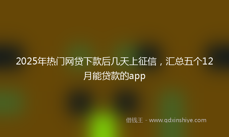 2025年热门网贷下款后几天上征信，汇总五个12月能贷款的app