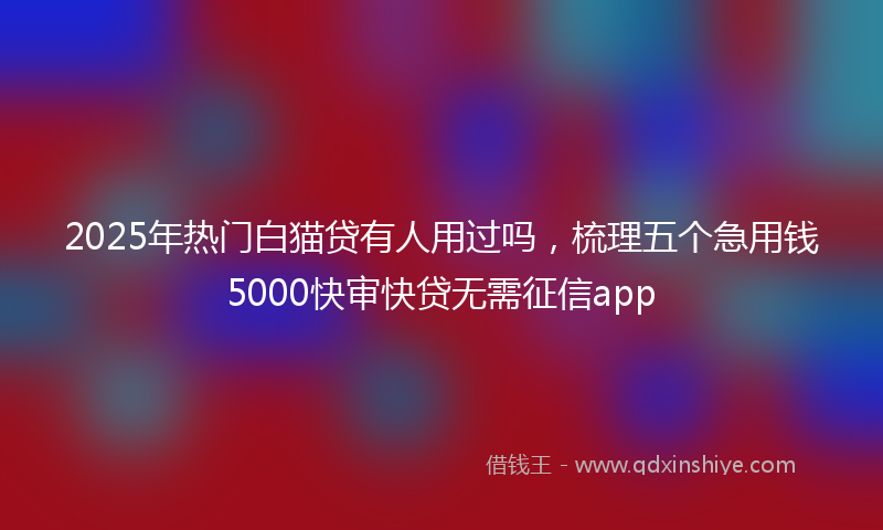 2025年热门白猫贷有人用过吗，梳理五个急用钱5000快审快贷无需征信app