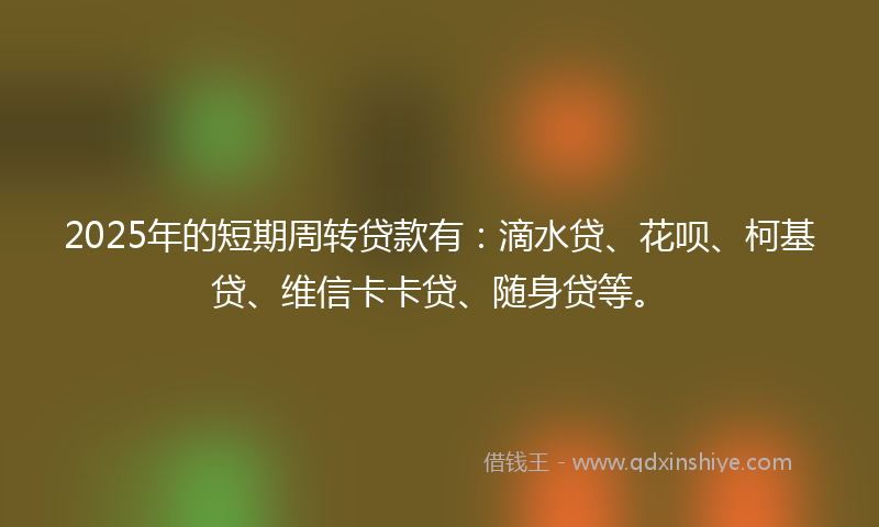 2025年的短期周转贷款有：滴水贷、花呗、柯基贷、维信卡卡贷、随身贷等。