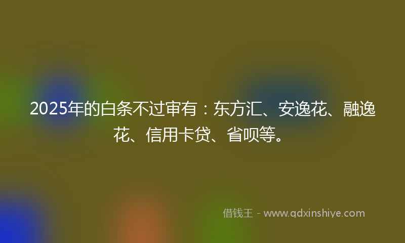 2025年的白条不过审有：东方汇、安逸花、融逸花、信用卡贷、省呗等。